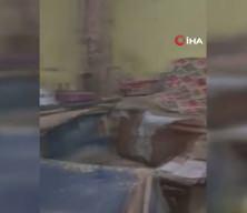 Evde yangın &ccedil;ıktı, 26 kedi &ouml;ld&uuml;