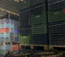 Grip d&ouml;neminde kiviye yoğun talep: Tanesi 220 gram geliyor