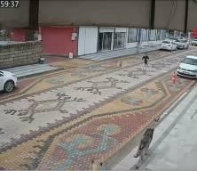 Mardin'de sokak k&ouml;peklerinin saldırdığı &ccedil;ocuğu esnaf kurtardı