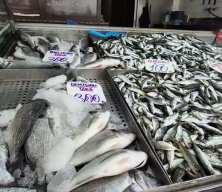 Tezgahlarda hamsi d&ouml;nemi kapandı!