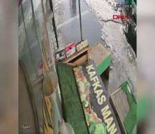 &Ccedil;atıdan d&uuml;şen kar k&uuml;tlesinden saniyeler ile kurtuldu