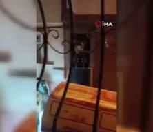 G&uuml;r&uuml;lt&uuml; yaptığı gerek&ccedil;esiyle &ouml;ld&uuml;r&uuml;len 10 yaşındaki Emir'in davasında karar!