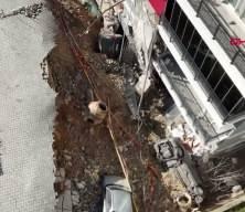 İzmir&rsquo;de toprak kayması; 2 bina ve 6 ara&ccedil; zarar g&ouml;rd&uuml;