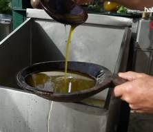 Trakya Birlik'ten Ramazan &ouml;ncesi yağ fiyatları i&ccedil;in &ouml;nemli karar