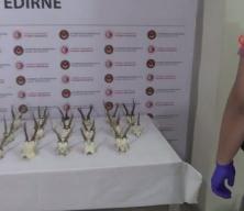 Ticaret Bakanlığı, 2025 yılında da ka&ccedil;ak canlı hayvan ticaretine ge&ccedil;it vermedi