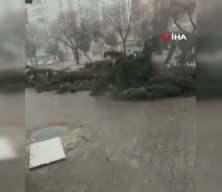 Adana'da fırtına ağa&ccedil;ları yerinden s&ouml;kt&uuml;