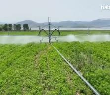 Avrupa 2040'da 2 kat gen&ccedil; &ccedil;ift&ccedil;i hedefliyor, tarımda gelecek gen&ccedil;lerle bi&ccedil;ilecek