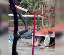 Canını tehlikeye attı, k&ouml;peğini akıntıya kapılmaktan son anda kurtardı