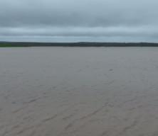  Edirne'de Tunca Nehri'nin debisi yeniden y&uuml;kseldi, Meri&ccedil; Nehri'nde bazı b&ouml;lgelerde taşkınlar meydana geldi.