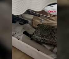 İBB'nin r&uuml;şvet ağına uzanmıştı: 30 milyon dolarlık soygunda flaş gelişme