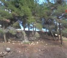 Kahramanmaraş'ta kaya par&ccedil;ası otomobilin i&ccedil;ine girdi: 2'si ağır 4 yaralı