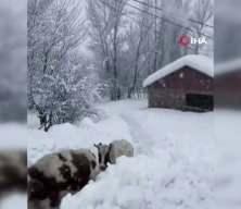Karların altında kaybolan k&ouml;y! Tunceli'de sıradışı anlar