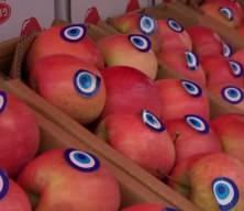 Misket elma yok satıyor: Taklitlerinden yıldız testiyle ayırt ediliyor