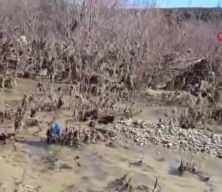 Salih Ertaş 14 g&uuml;nd&uuml;r kayıp: 249 kişi tarafından aranıyor