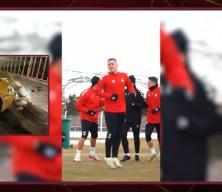 Sivasspor'da takımın yıldızı Rey Manaj trafik kazası ge&ccedil;irdi