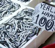 Trabzon&rsquo;da balık tezgahları hareketli