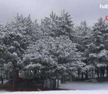 Ankara ve İstanbul'da karla karışık yağmur bekleniyor