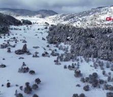 Bolu Dağı beyaza b&uuml;r&uuml;nd&uuml;! Abant'ta kar g&uuml;zelliği kamerada