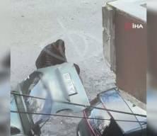 Boşanma aşamasındaki eşine sokakta dehşeti yaşattı! Korku dolu anlar kamerada