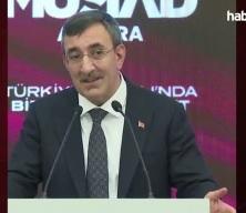 Cevdet Yılmaz: Enflasyonda d&uuml;ş&uuml;ş&uuml;n devam ettiği bir d&ouml;nem olacak