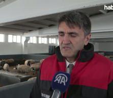 &Ccedil;ift&ccedil;iler hayvancılığa destek projesinden memnun!