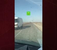 Fas'ta milyonlarca &ccedil;ekirge otoyolu istila etti