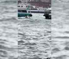 Karak&ouml;y'de vapur tekneye &ccedil;arptı: Bir kişi denize d&uuml;şt&uuml;