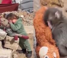 D&uuml;nya maymun Punch'ı konuşurken K&uuml;ba iki y&uuml;zl&uuml;l&uuml;ğ&uuml; haykırdı