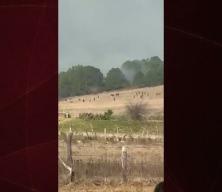 Meksika Savunma Bakanı Trejo: El Mencho'yu sevgilisini takip ederek bulduk