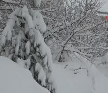 Bitlis'te kar esareti: : 288 k&ouml;y yolu ulaşıma kapandı