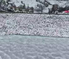 Erzurum&rsquo;da dondurucu soğuk: Baraj buz tuttu, sarkıtlar 2 metreyi buldu