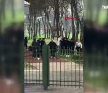 Kağıthane'de lise &ouml;ğrencilerinin tekmeli yumruklu kavgası kamerada