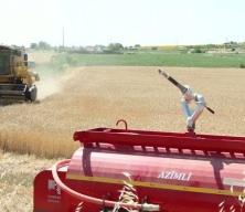 Savaş tarımı da vurdu! İthalat durma noktasına geldi