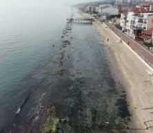 Tekirdağ deniz &ccedil;ekildi 'Kral yolu' ortaya &ccedil;ıktı