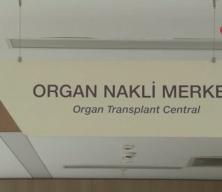 Damadının verdiği b&ouml;brekle yaşama tutundu: "Hayırlı damat' diyorlar"