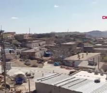 Kuduz ş&uuml;phesi Mardin'deki bir mahalleyi karantinaya aldırdı