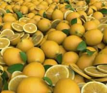 Limon fiyatları zirveye &ccedil;ıktı, Erdoğan fiyat d&uuml;zenlemesi i&ccedil;in adım attı