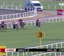 Sakatlanan yarış atıyla ilgili skandalda yeni gelişme!