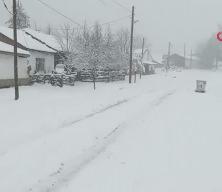 Bilecik bayram sabahına beyaz &ouml;rt&uuml;yle uyandı