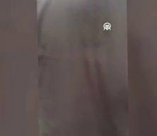 Tekirdağ'da pitbul dehşeti! Saldırı anı kameraya yansıdı