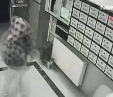 Ankara'da sahte sevgili &ccedil;etesine operasyon! 23 ş&uuml;pheli yakalandı