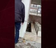Bakan &Ccedil;ift&ccedil;i&rsquo;ye karşı sahaya s&uuml;r&uuml;len s&ouml;zde &ccedil;ift&ccedil;i m&uuml;ptezel &ccedil;ıktı