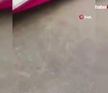 Bangladeş&rsquo;te feribota girmeye otob&uuml;s nehre d&uuml;şt&uuml;: 2 &ouml;l&uuml;