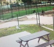 Edirne'de &ccedil;ocuk parkında silahlı dehşet kamerada