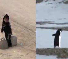 Gazze'de &ccedil;ocuk olmak... Bir penguen kadar konuşulmayacak