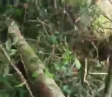 Kolombiya'da 110 askeri taşıyan u&ccedil;ak d&uuml;şt&uuml;