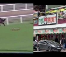 Aşevindeki at eti skandalında tedarik&ccedil;i firmanın belgesiz olduğu ortaya &ccedil;ıktı