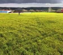 &Ccedil;ft&ccedil;iye verilen Devlet desteği &uuml;reticinin y&uuml;z&uuml;n&uuml; g&uuml;ld&uuml;rd&uuml;...