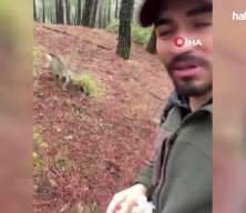 Denizli'de mantar aramak i&ccedil;in &ccedil;ıktığı doğada maymun buldu