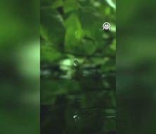 Emine Erdoğan'dan Uluslararası Sıfır Atık G&uuml;n&uuml; paylaşımı